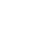 arauco outlet